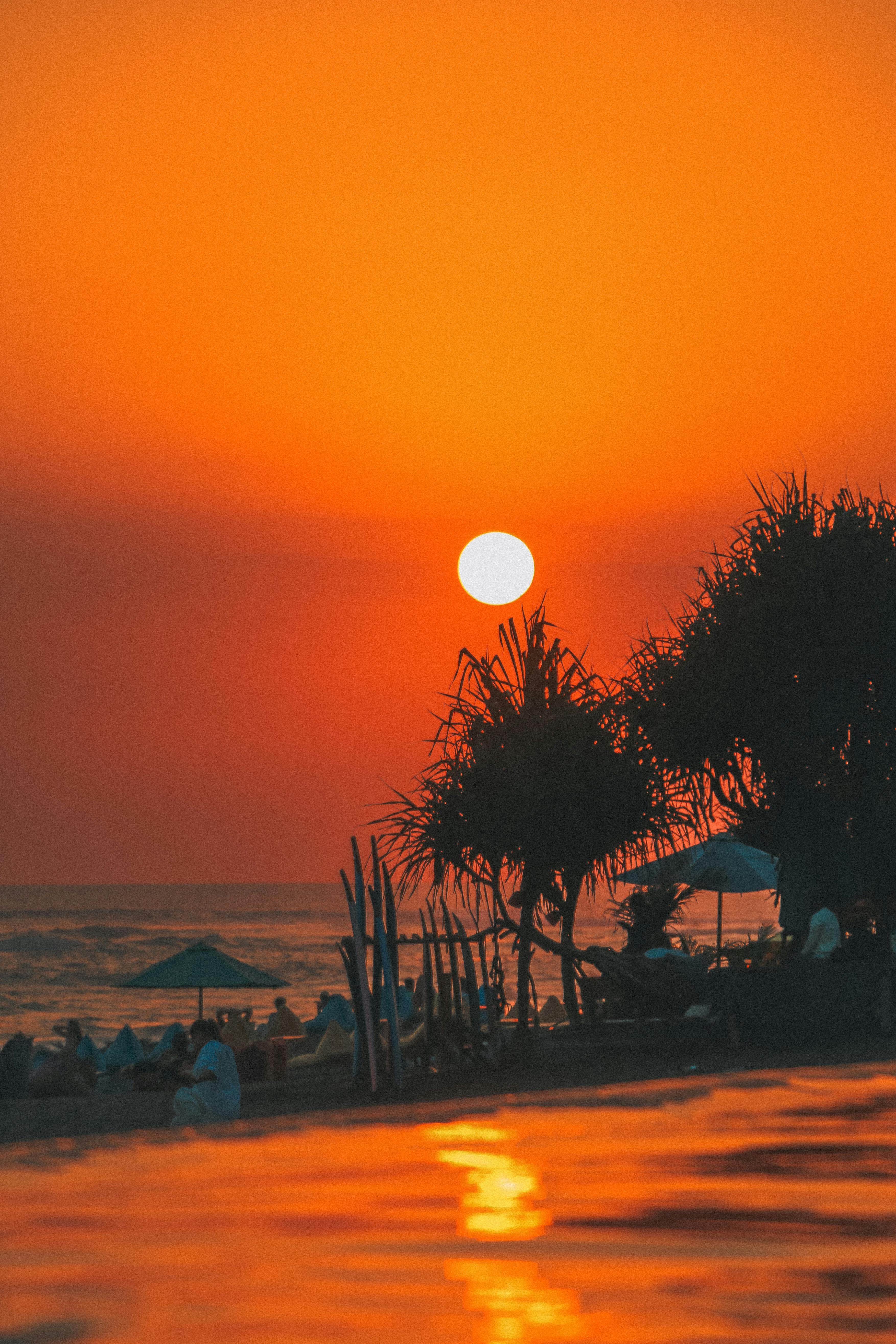 Canggu Bali beach traffic overtourism 2026 reality