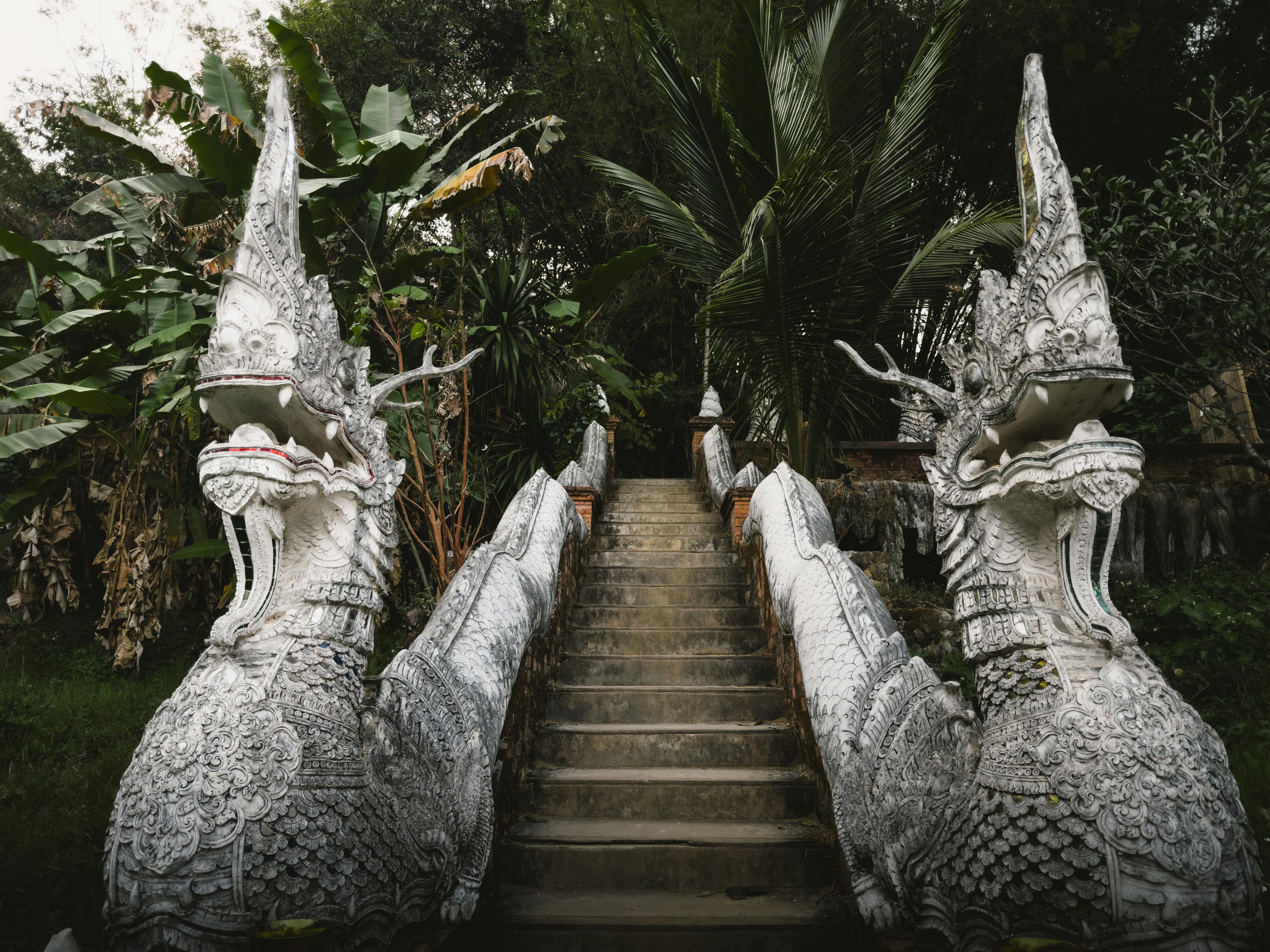 Ancient naga serpent staircase leading up to a temple in the Chiang Mai jungle