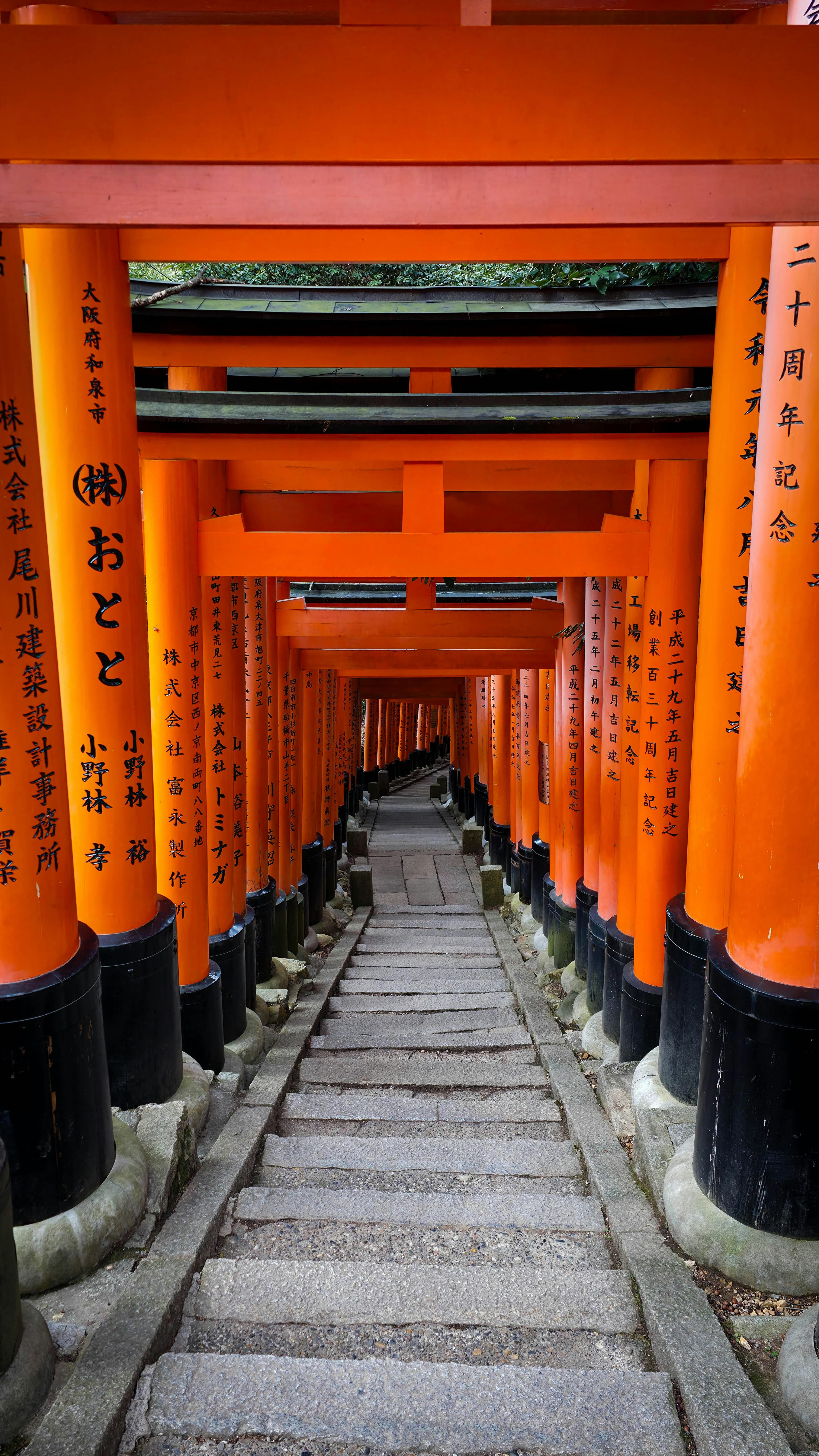 Fushimi Inari Taisha thousands of vermillion torii gates climbing Mount Inari Kyoto