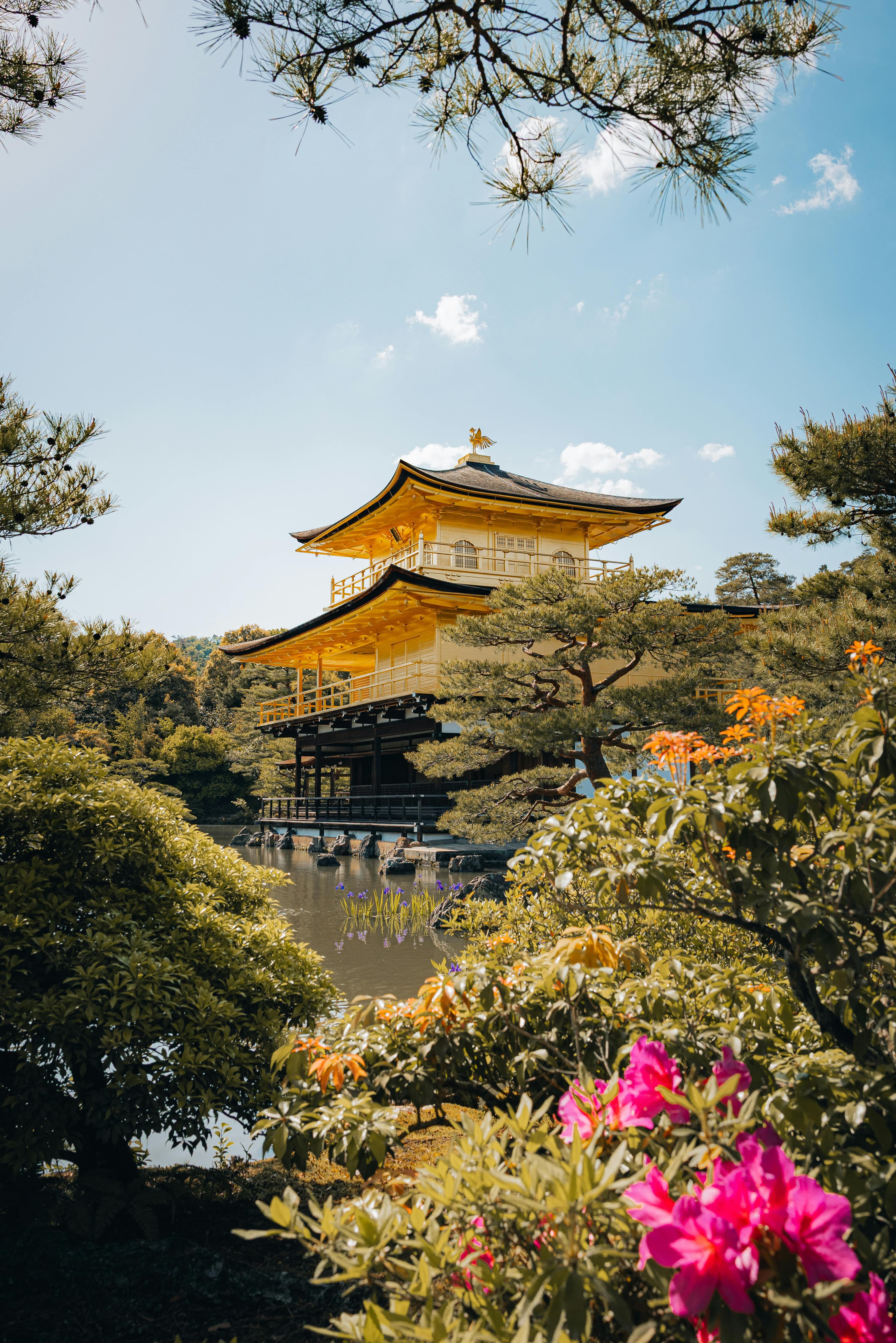 Kinkaku-ji Golden Pavilion in Kyoto reflected on the calm pond surrounded by pine trees
