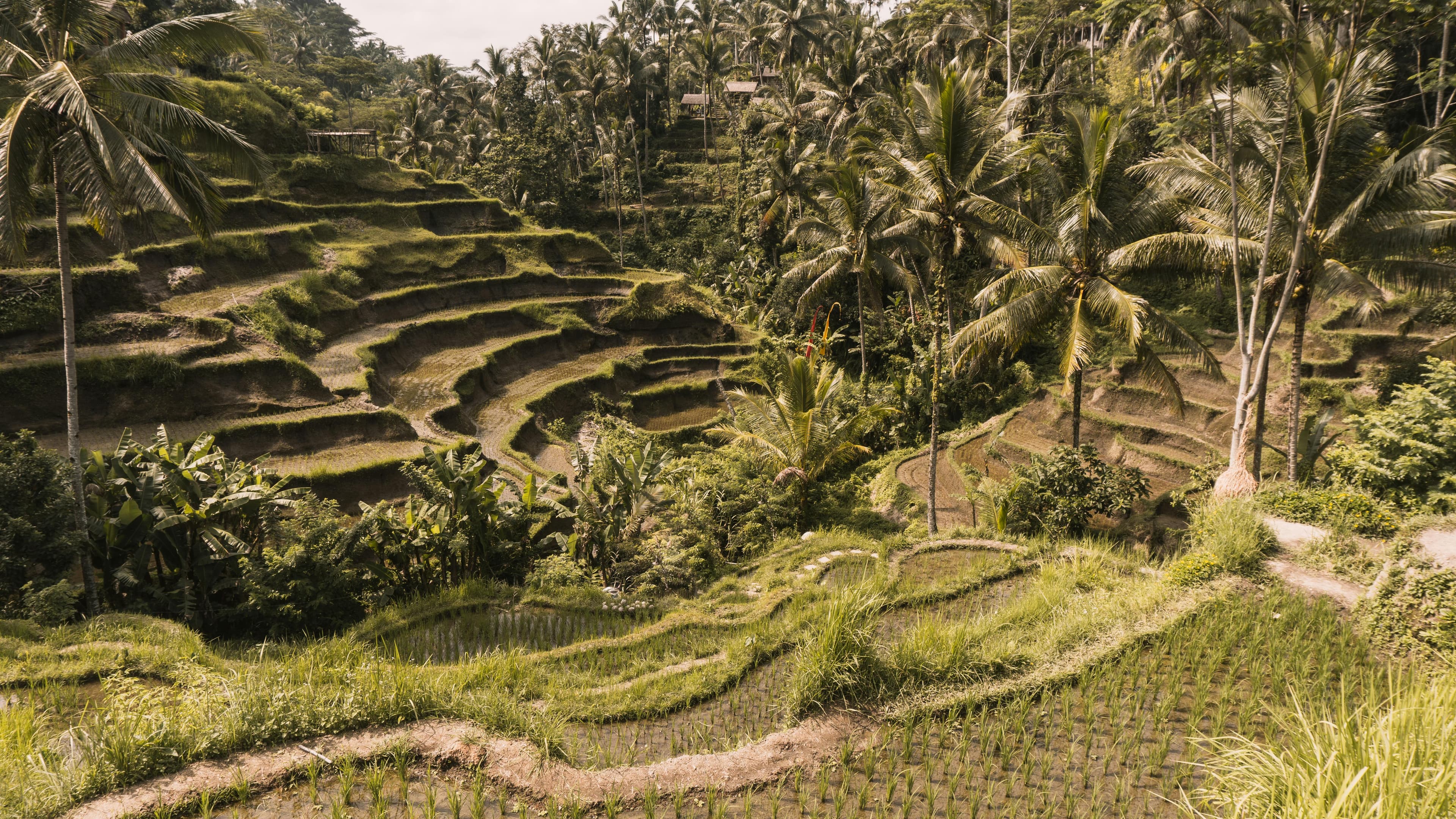 Nusa Penida Crystal Bay sacred Hindu pilgrimage island cliffs Bali