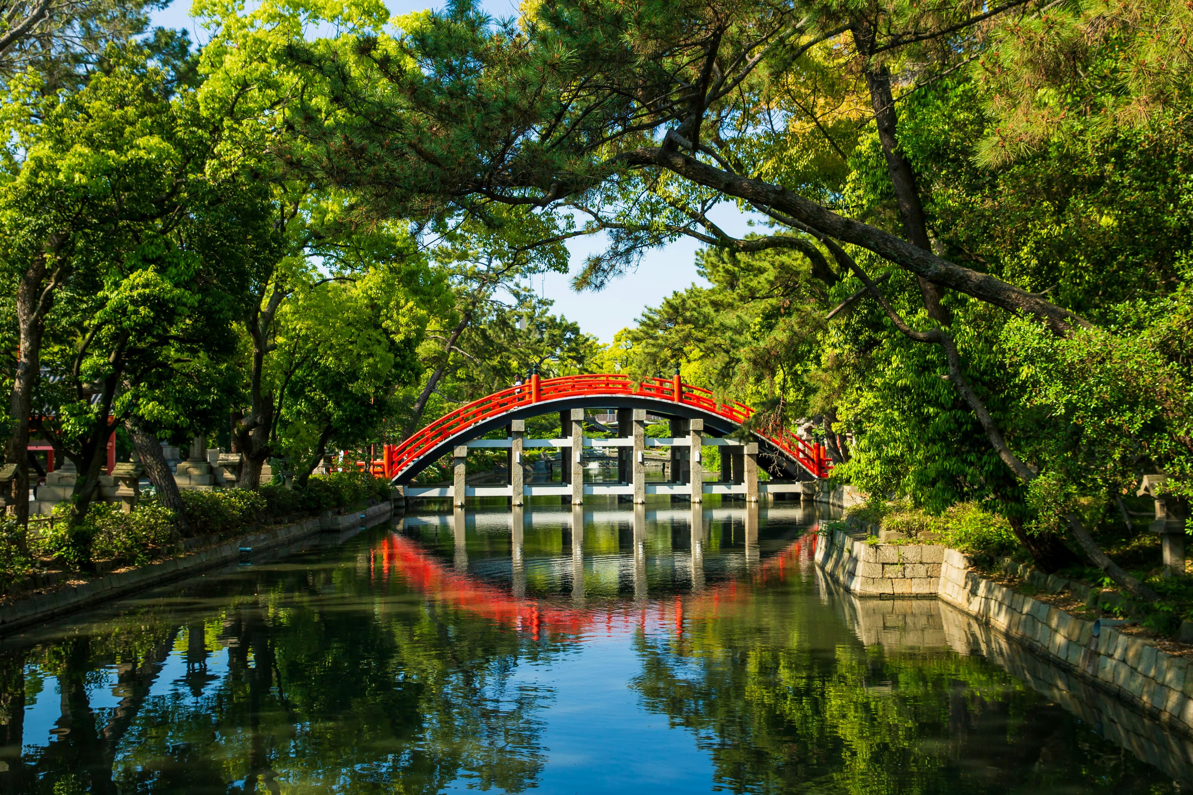 The vermillion Sorihashi arched bridge of Sumiyoshi Taisha reflected on the sacred pond surrounded by green pine trees