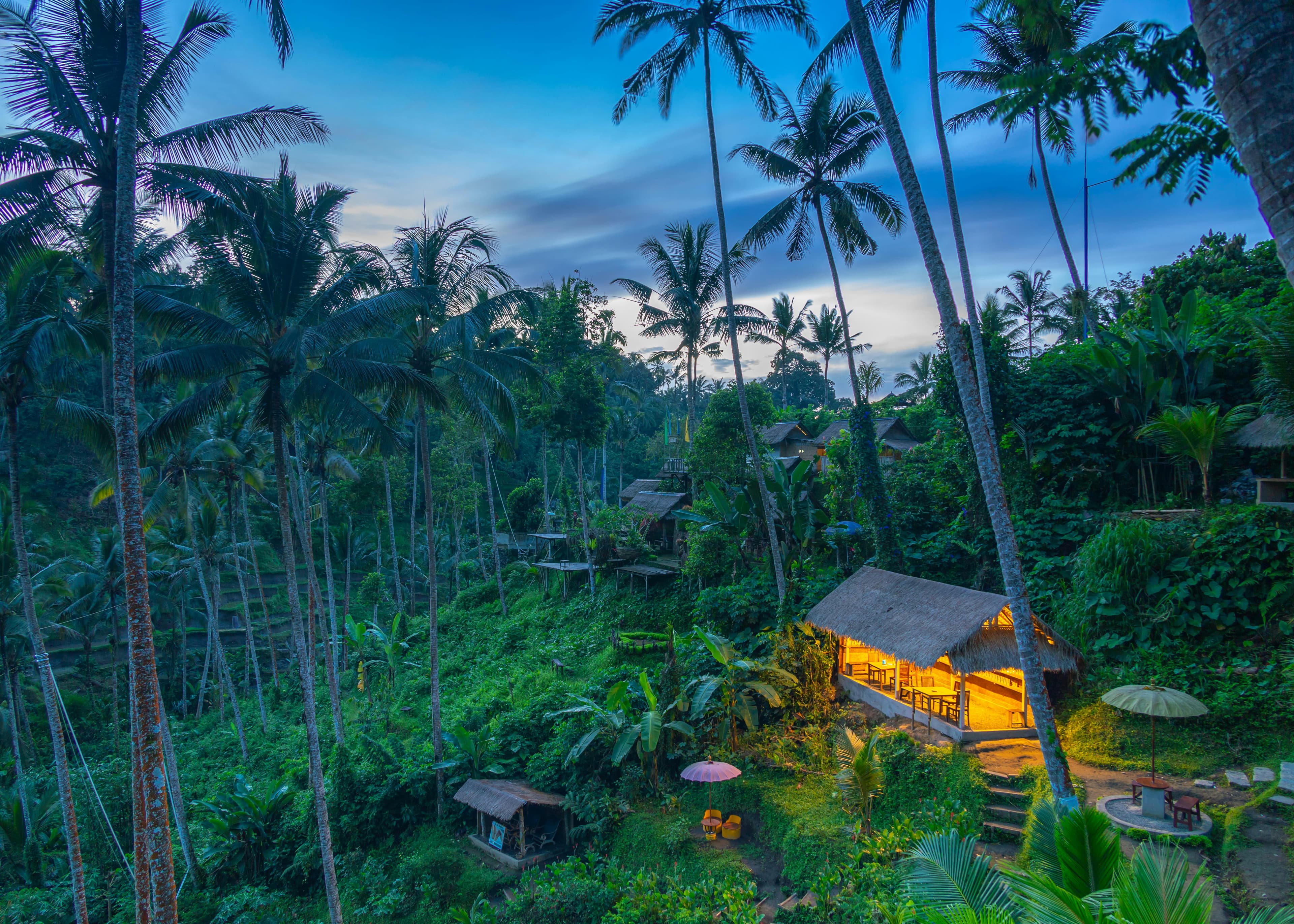 Bali warung Indonesian food real prices 2026 budget